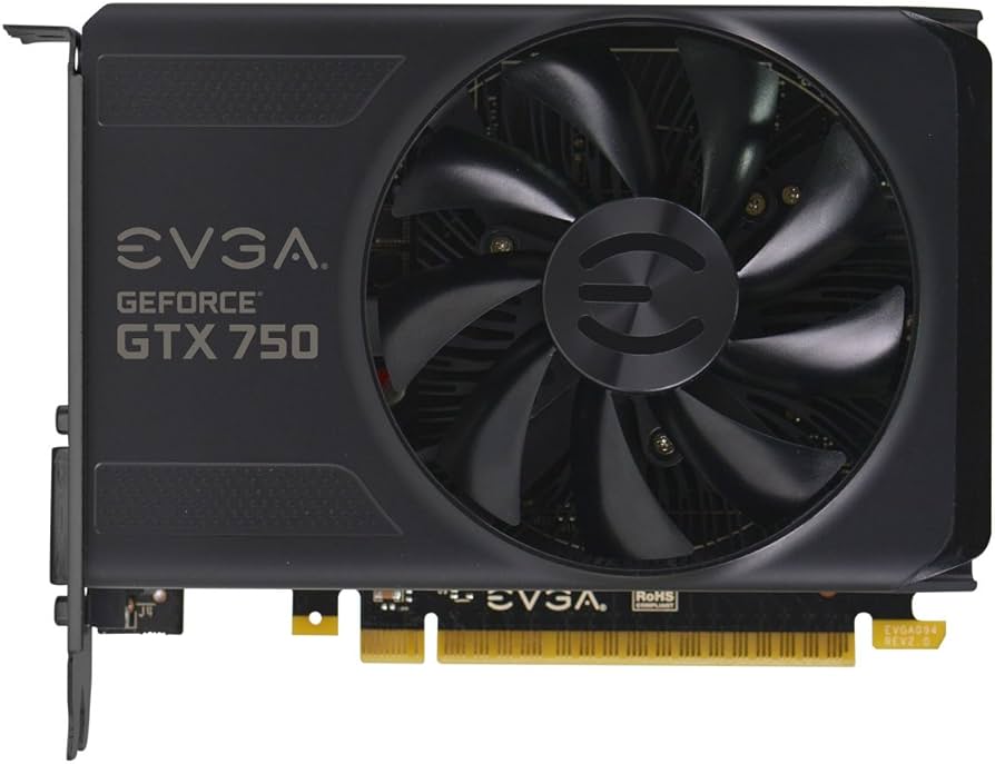  EVGA GeForce GTX 750 1 Go (Remis à Neuf)
