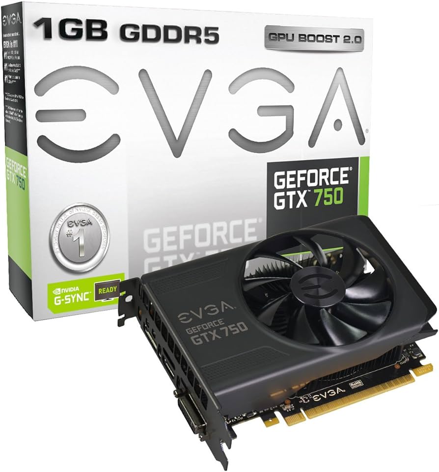  EVGA GeForce GTX 750 1 Go (Remis à Neuf)