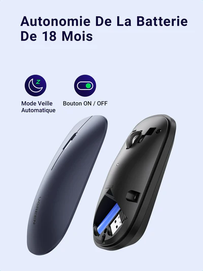 Ugreen Souris sans fil 2,4Ghz/10M GRIS Noir