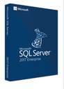 SQL Server Standard 2017 SNGL OLP NL